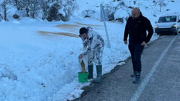 Seydişehir'de doğaseverler kuşlara yem bıraktı