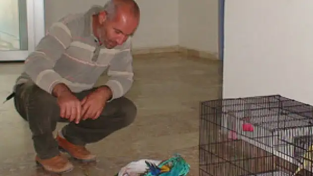 17 bin lira değerinde kuş çalan şüpheliler tutuklandı
