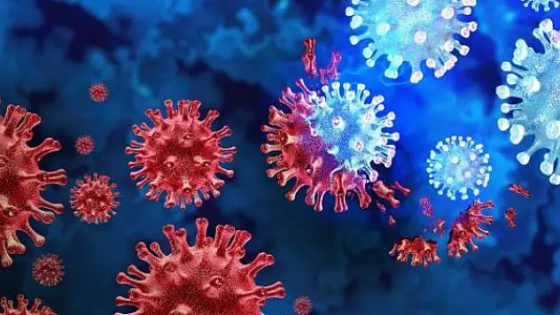 Malta'da en yüksek günlük vaka sayısı kayıtlara geçti