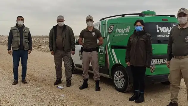 Karaman'da sokak hayvanlarına yem bırakıldı