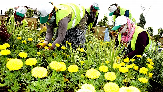 Meram çiçek açtı