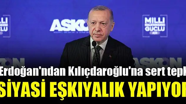 Siyasi eşkıyalık yapıyor