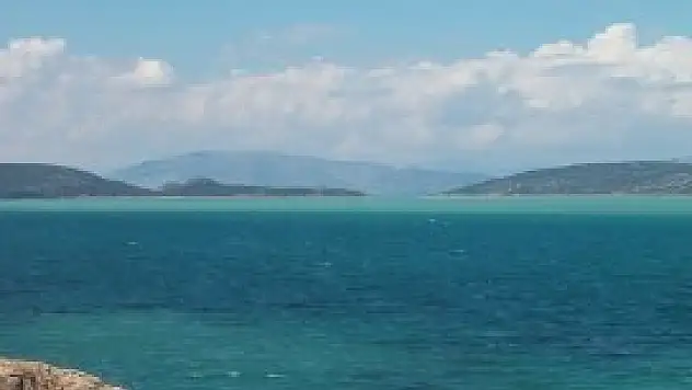 Balıkları hayata döndüren ağ operasyonları