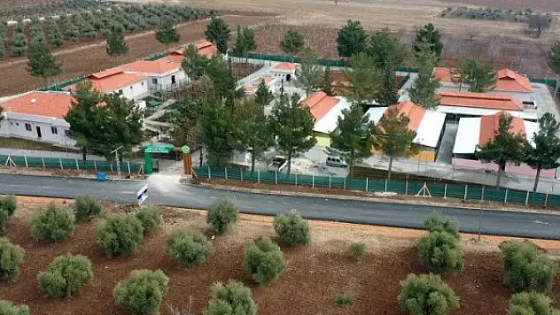 Devletten belediyelere barınak desteği: Arsa hazineden para bankadan