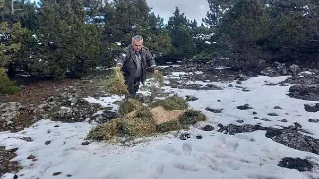 Ağır kış şartlarında doğadaki canlılar unutulmadı