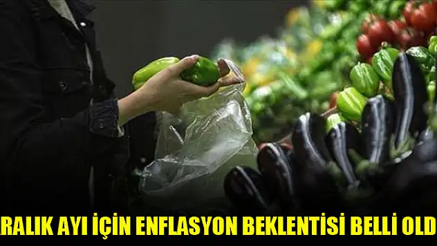Aralık ayı için enflasyon beklentisi belli oldu