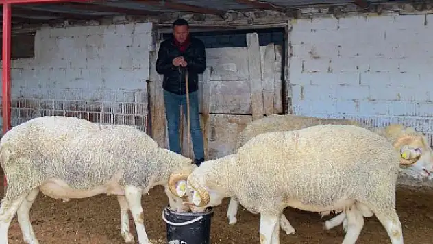 Dövizdeki düşüş üreticiyi umutlandırdı