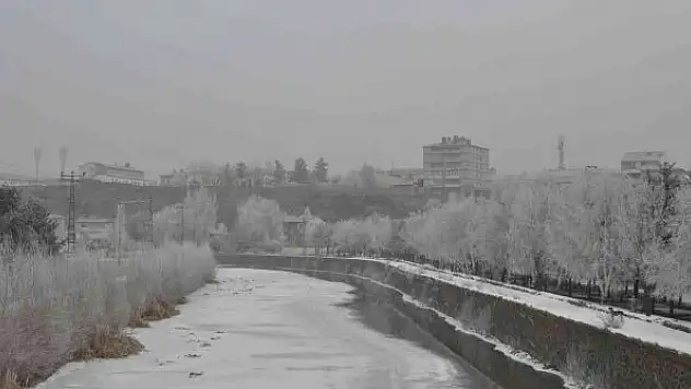 Kars'ta ağaçlar kırağı tuttu
