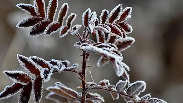 Meteorolojiden çığ, buzlanma ve don uyarısı