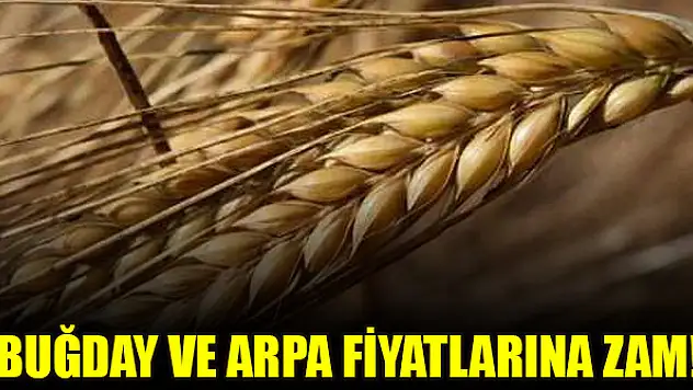 Buğday ve arpa fiyatlarına zam!