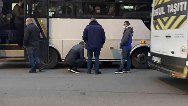 Yolcular kediyi fark etti, otobüs cadde ortasında durduruldu