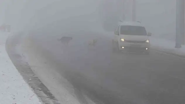 Erzincan'ı sis, pus, kırağı sardı