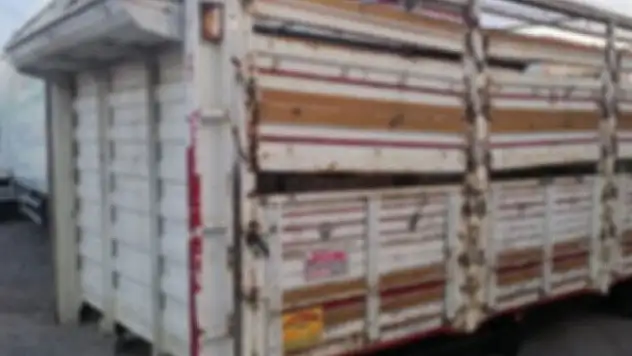 Korkunç olay: Kamyon kasasında 10 ceset bulundu