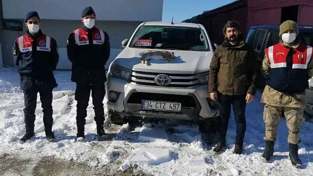 Avladığı tavşanla jandarmaya takıldı