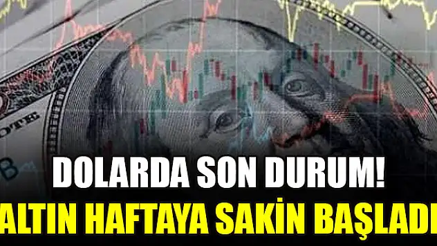 Dolarda son durum! Altın haftaya sakin başladı