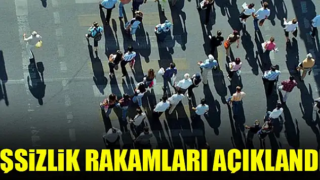 İşsizlik rakamları açıklandı