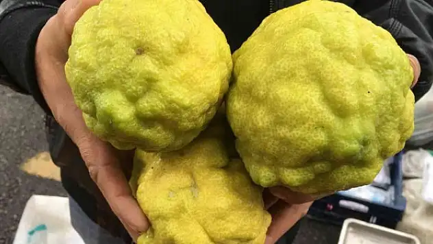 Bergamot, pazarın ilgi odağı oldu
