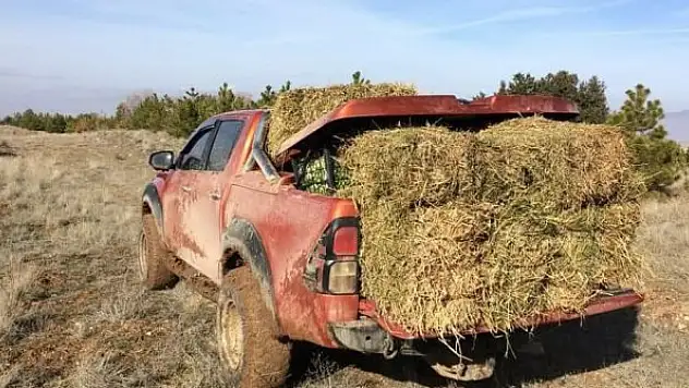 Yaban hayvanlar kış aylarında unutulmadı