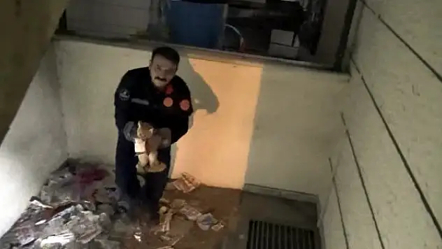 Mazgala sıkışan yavru kedi itfaiye tarafından kurtarıldı