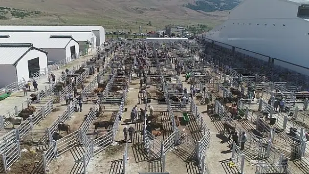 Doğu'nun incisi hayvan borsası sektörde rol modeli oldu