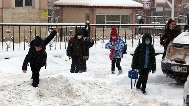 Ağrı ve Ardahan'da 4 ilçede okullar tatil edildi