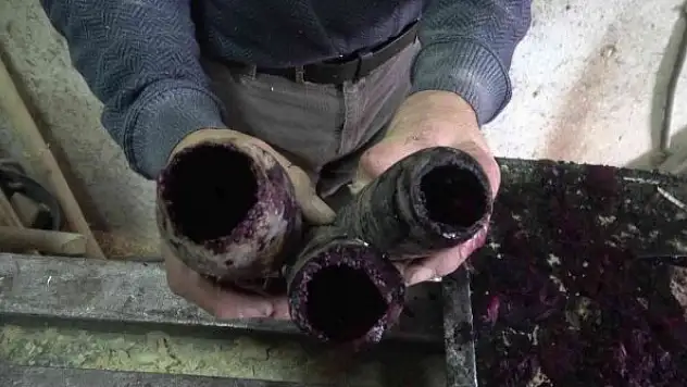 Bu havuç tornada oyulup dolma yapılıyor