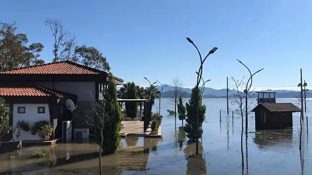 Arı kovanları sular altında kaldı