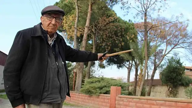 Kuraklık köyün gri balıkçıl misafirlerini küstürdü