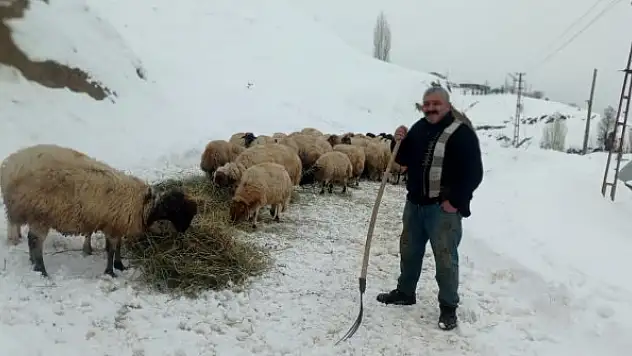 2 bin rakımda besicilerin zorlu yaşam mücadelesi