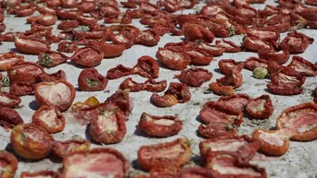 Kuru domates ihracatı 100 milyon dolara yaklaştı
