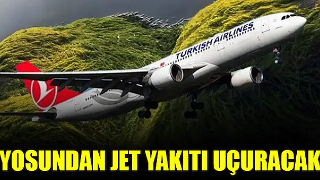 Yosundan jet yakıtı uçuracak