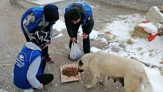 Karapınar'da sokak hayvanlarına yem verildi