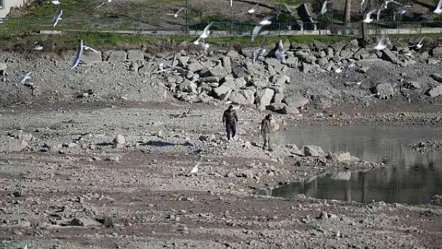 Martılar görsel şölen oluşturdu