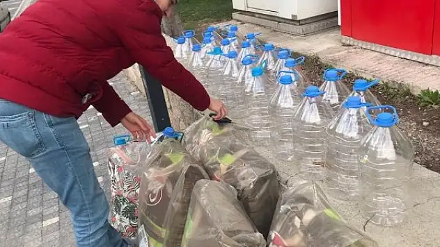 Üniversiteliler sokaktaki patilerin sesi oldu