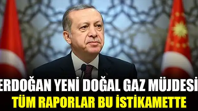 Cumhurbaşkanı Erdoğan yeni doğal gaz müjdesi: Tüm raporlar bu istikamette