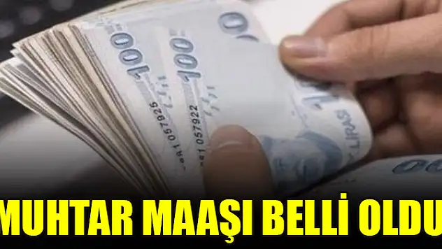Muhtar maaşı belli oldu!