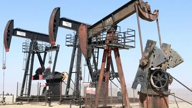 TPAO'nun Diyarbakır ve Şanlıurfa'daki ruhsatı uzatıldı