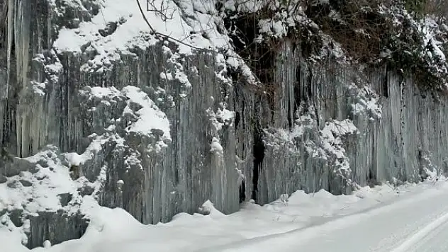 Ordu'da donduran görüntü