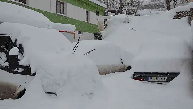Şırnak'ta ağaçlar kırıldı, araçlar karda kayboldu