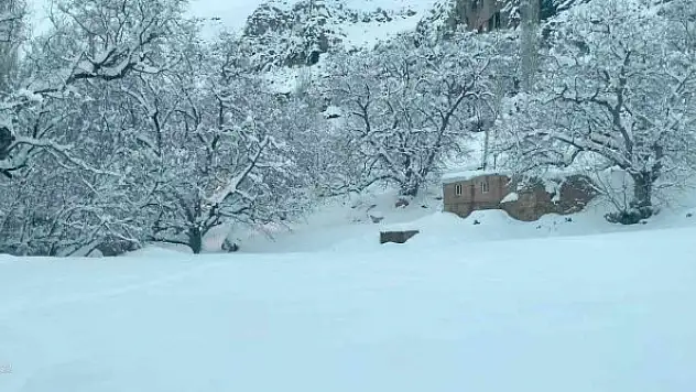 Kar kaplanları gece gündüz çalışıyor