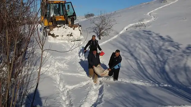 Tavukları telef olmaktan ekipler kurtardı