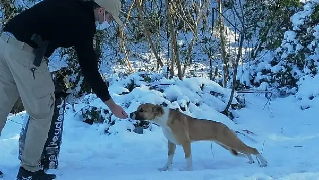 HAYDİ ekipleri sokaktaki canları unutmadı