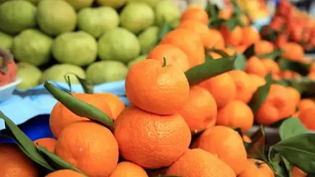 Mandalinadan 3 yılda 1,2 milyar dolar gelir