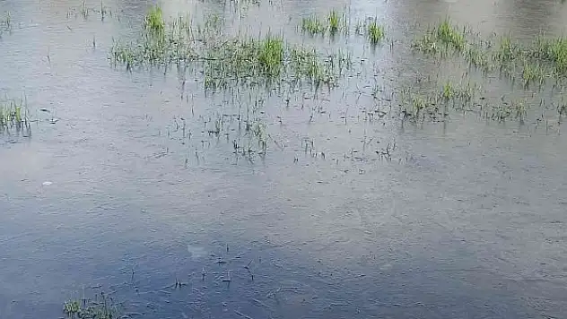 Adana'da su birikintileri buz tuttu