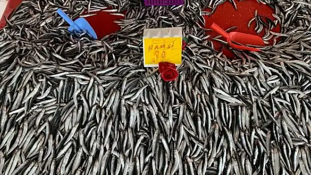 Geçtiğimiz günlerde boş kalan balık tezgahlarında bolluk başladı