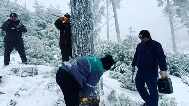 Ormanda bakım ve üretimler kar kış devam ediyor