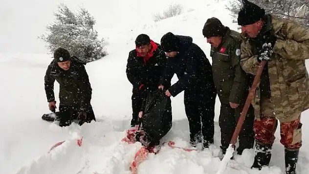 Yoğun kar yağışında yaban hayvanları unutulmadı