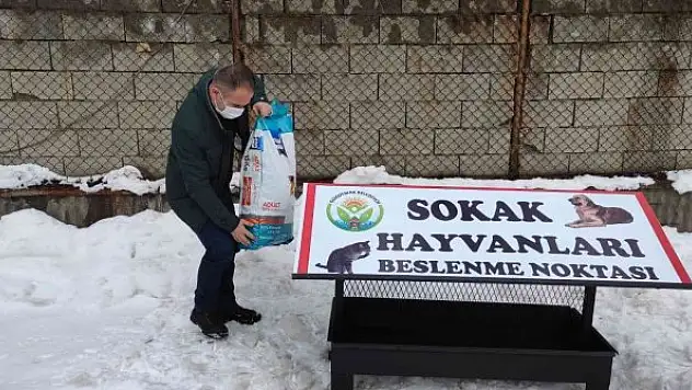 Güroymak Belediyesi sokak hayvanlarına sahip çıktı