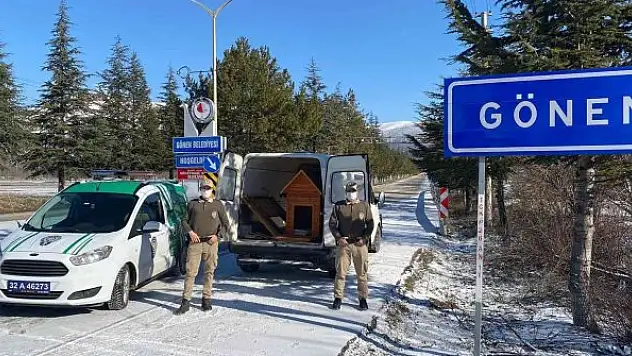 HAYDİ ekipleri yeni doğum yapan anne ve 4 yavru köpeğe sahip çıktı