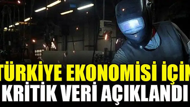 Türkiye ekonomisi için kritik veri açıklandı